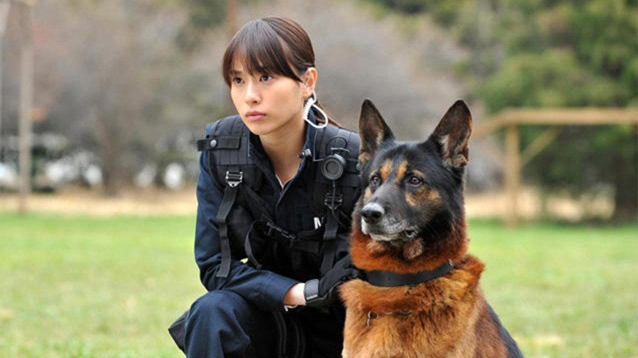 Dog × Police: The K-9 Force 2011 movie scene