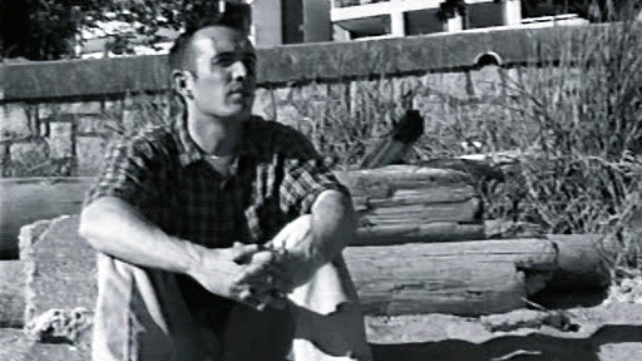 Two Brothers 2001 movie scene