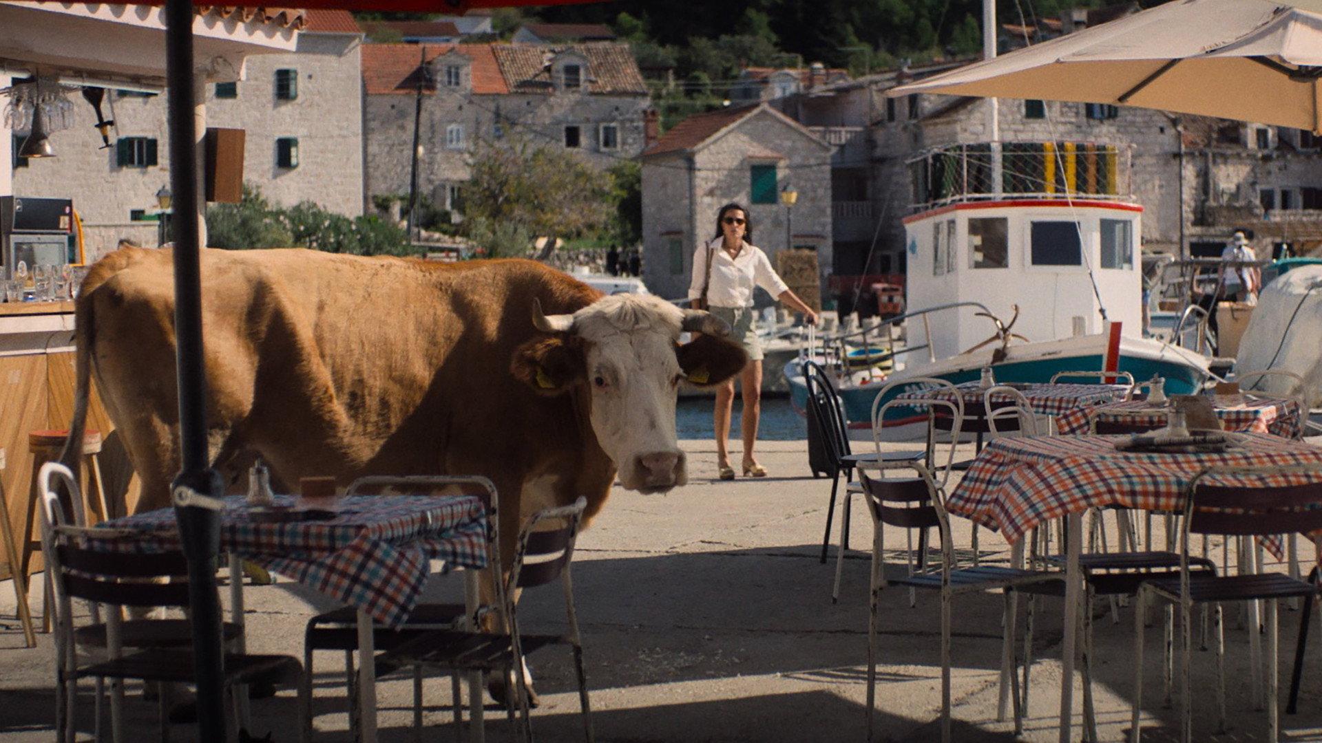 My Late Summer 2024 movie scene