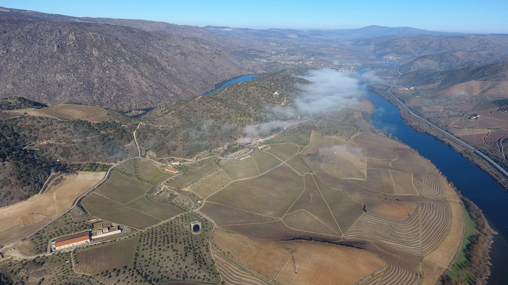 The Douro Boys: Winter Season 2019 movie scene