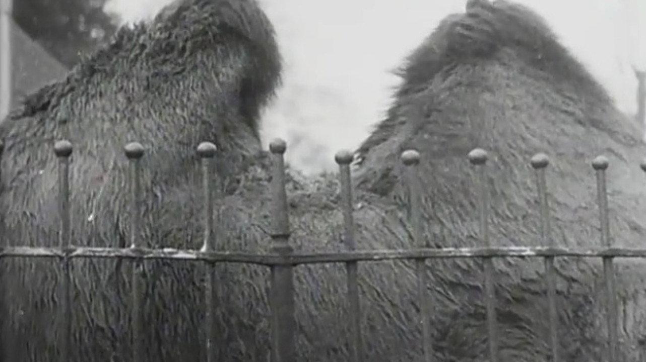 Our Advice This Festive Season 1925 movie scene