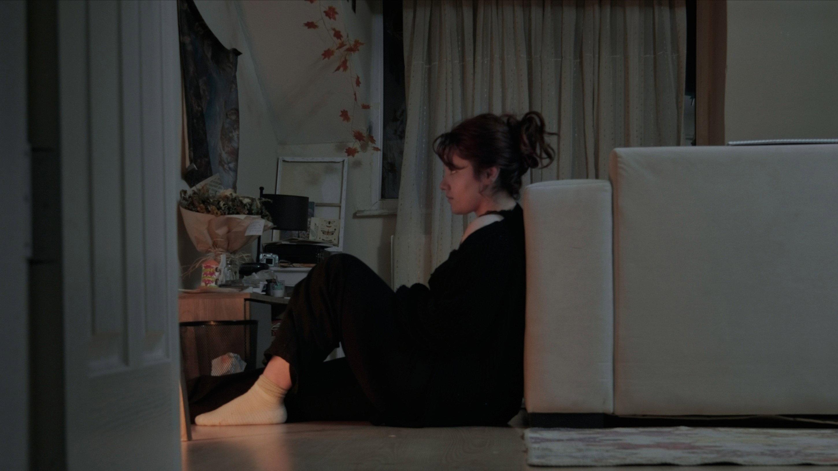 Renk Paleti  movie scene