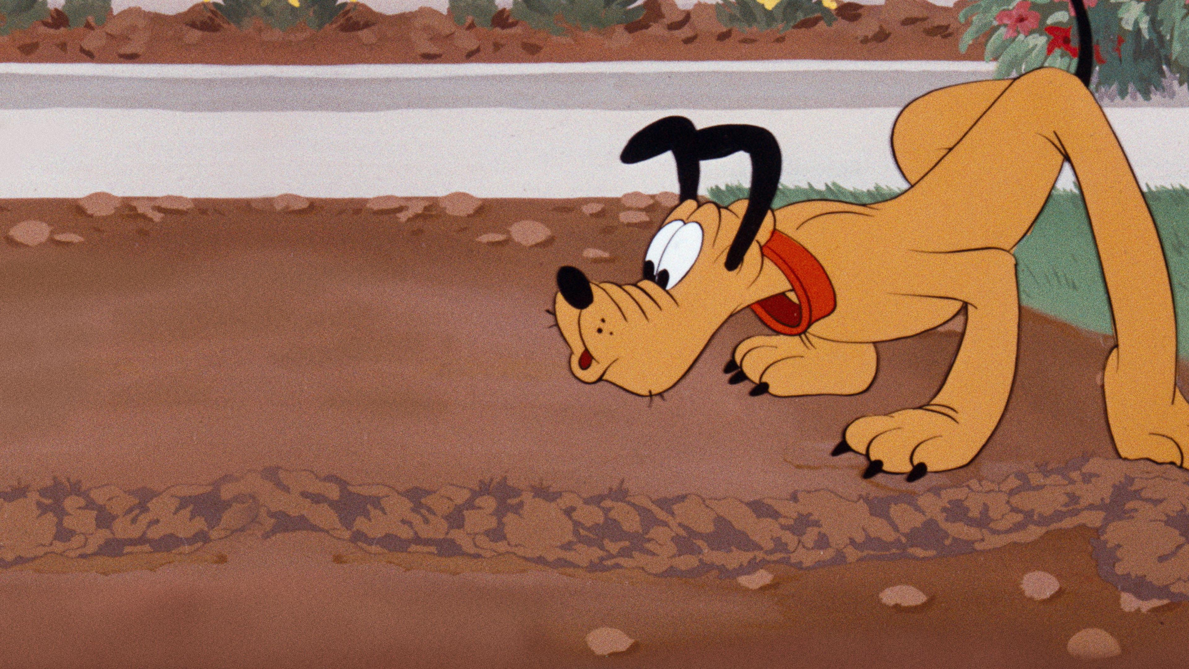 Pluto and the Gopher 1950 movie scene