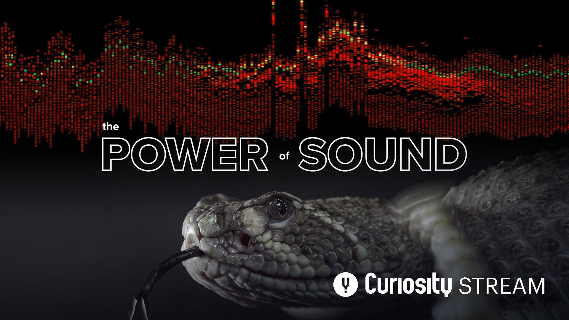 The Power of Sound 2019 movie scene