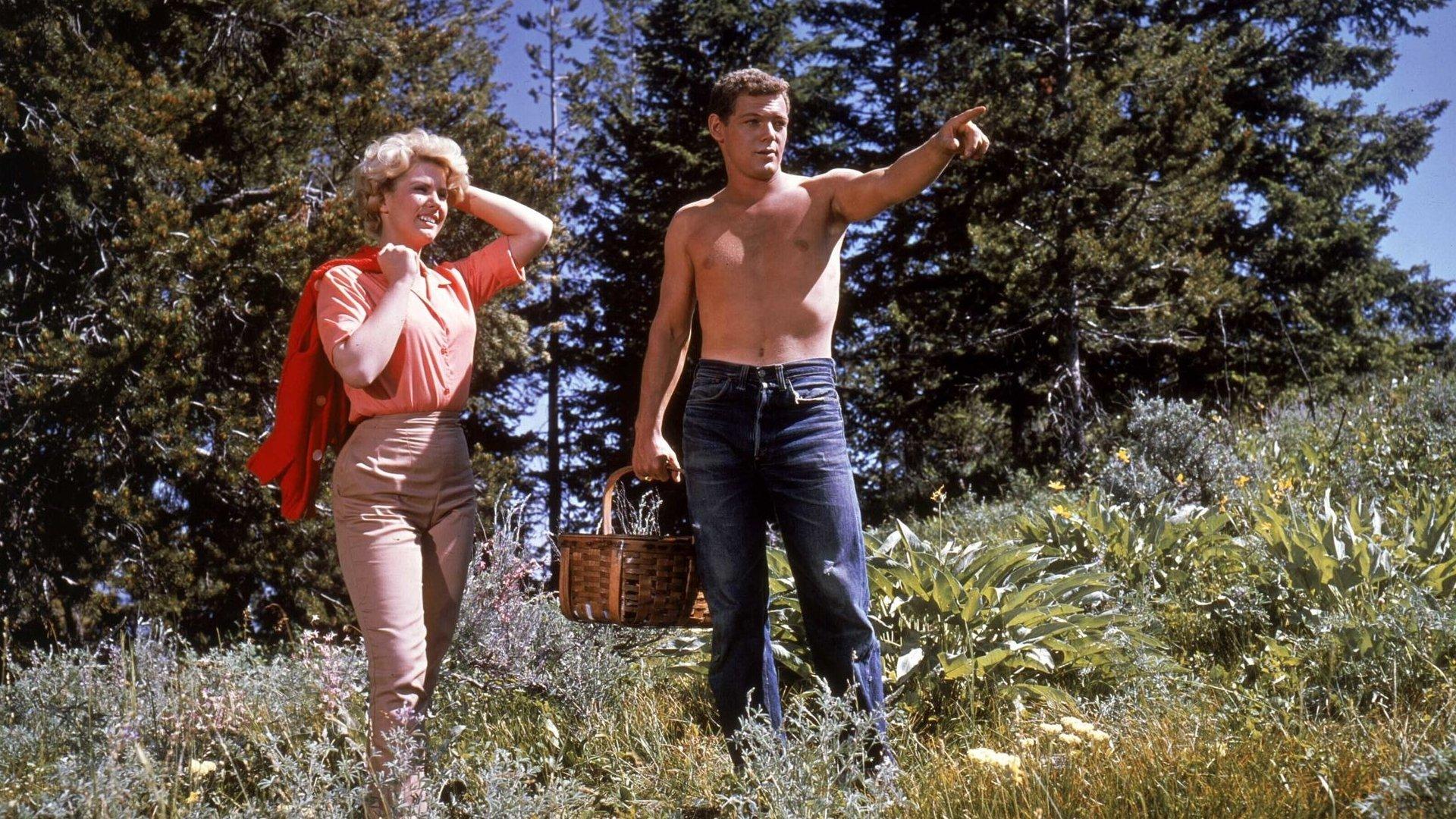 Spencer's Mountain 1963 movie scene