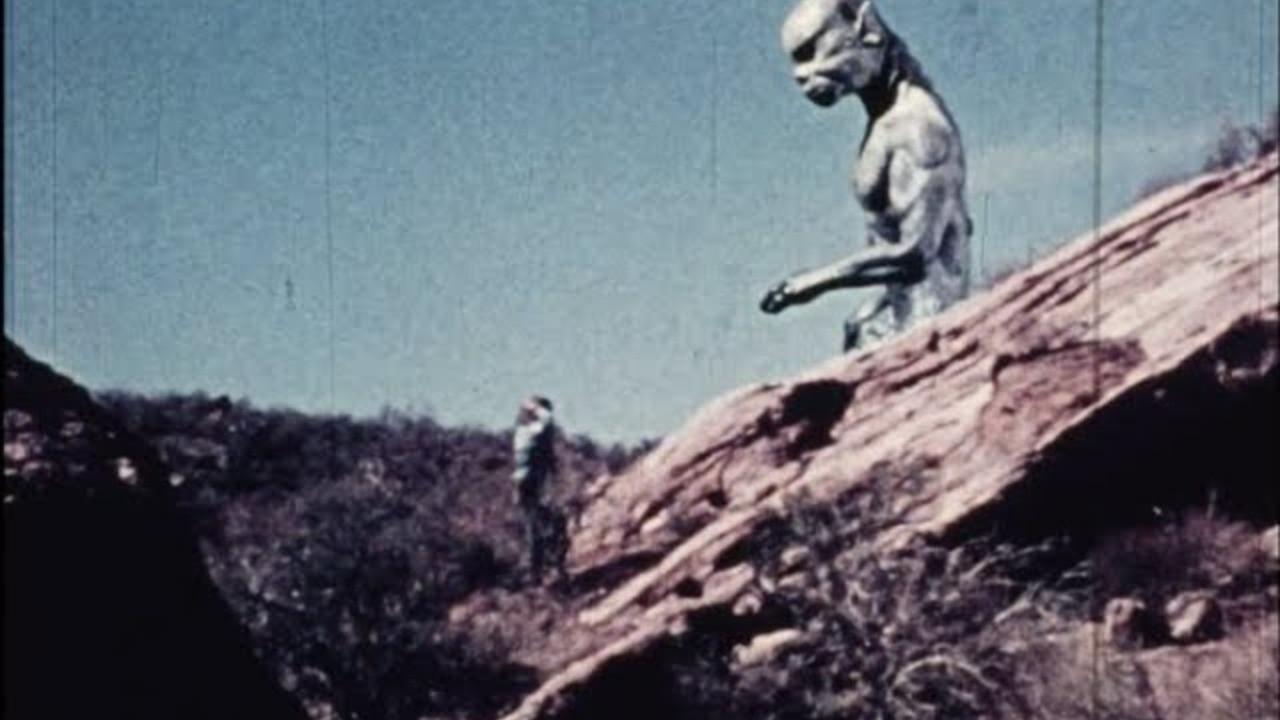 Canned Performance 1977 movie scene