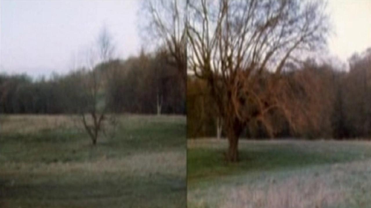 Wind Vane 1972 movie scene
