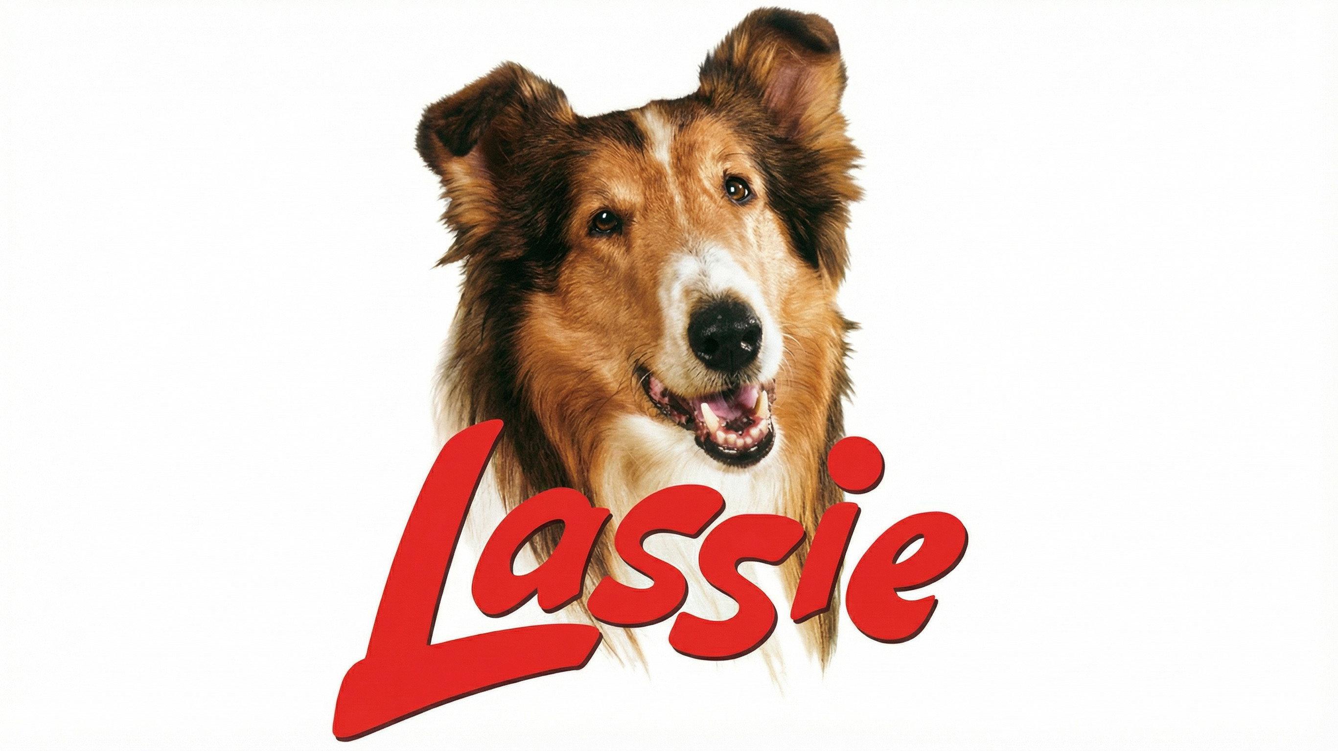 Lassie: Countdown  movie scene