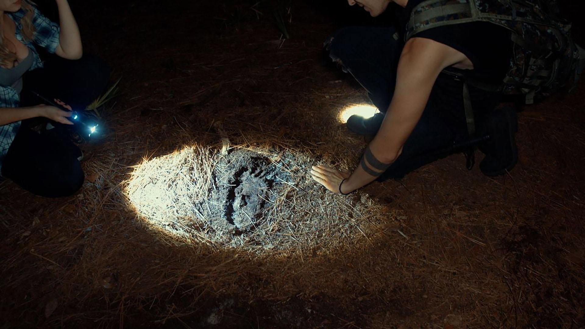 Shadows of Bigfoot 2024 movie scene