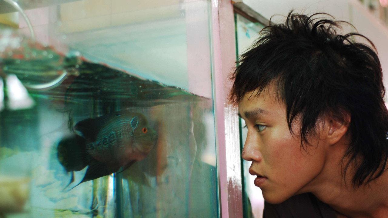 The Elephant and the Sea 2007 movie scene