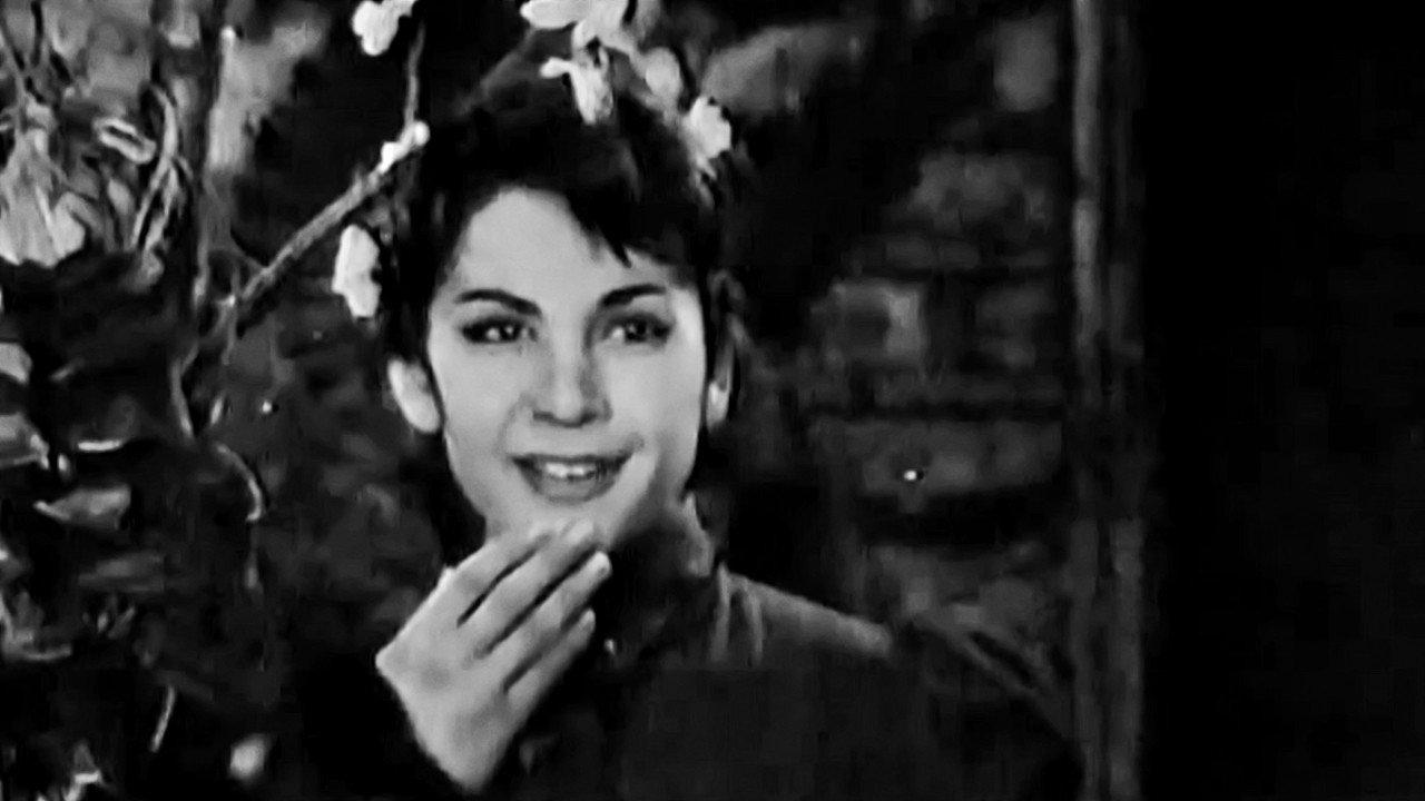 Blossoming Almond Tree 1959 movie scene