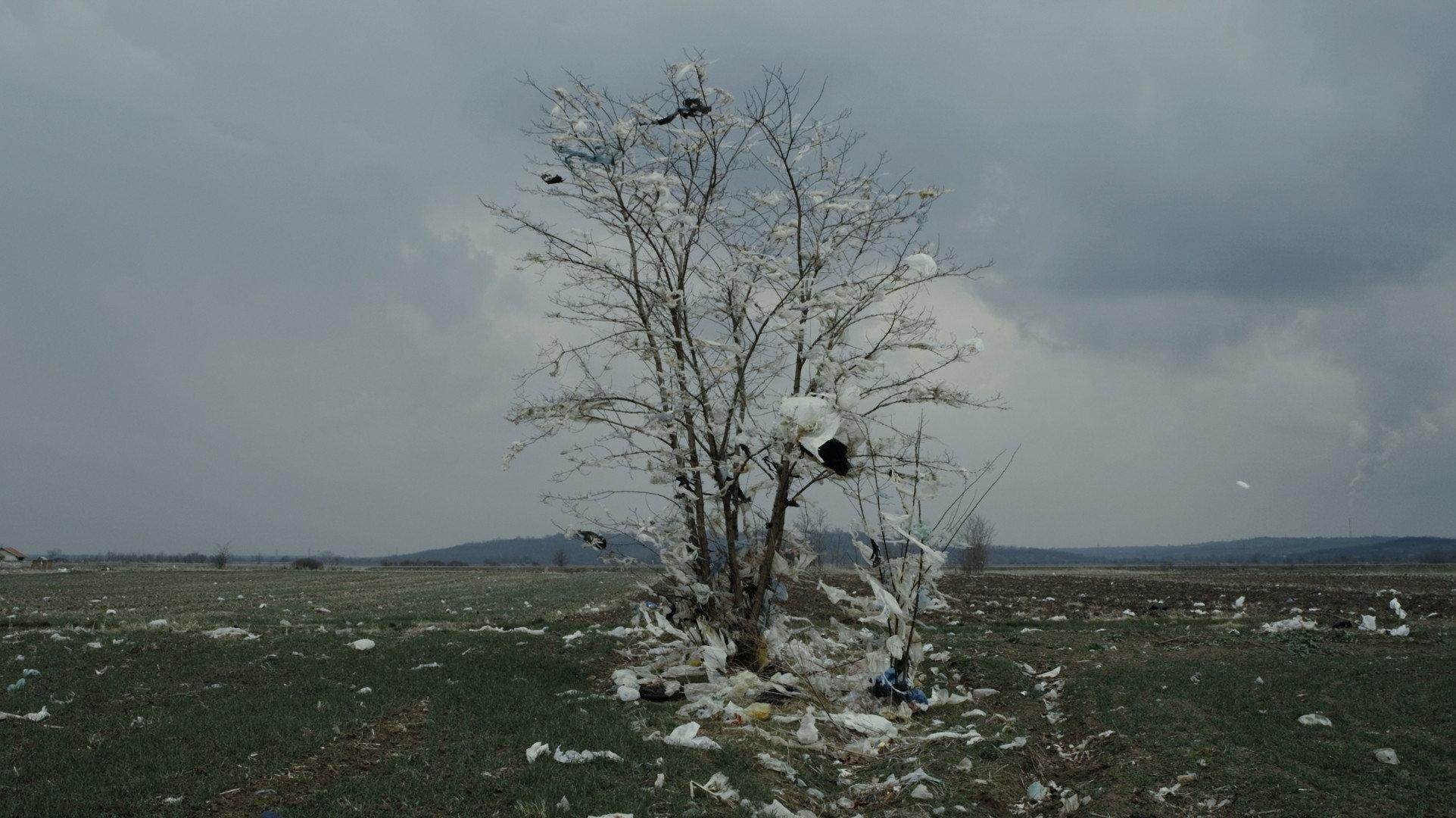 Depth Two 2016 movie scene