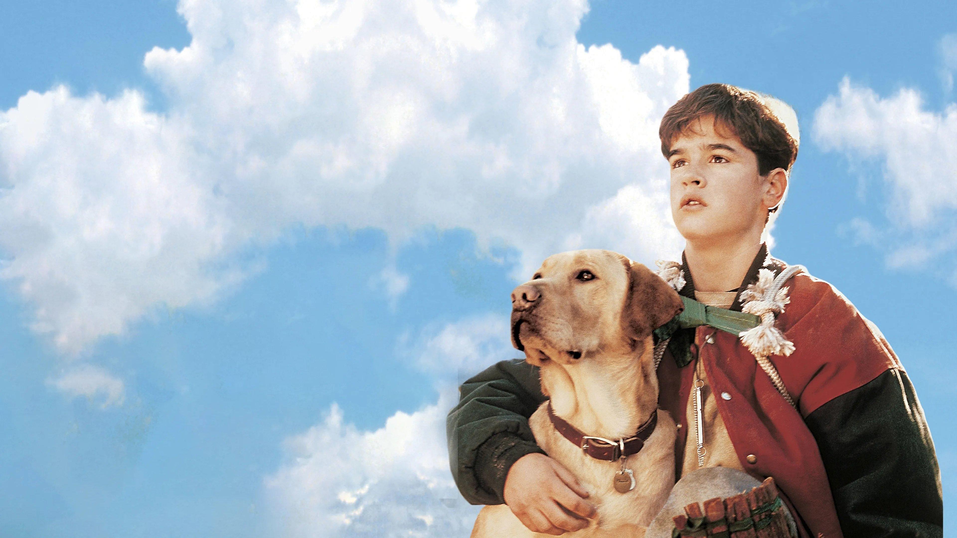Far from Home: The Adventures of Yellow Dog 1995 movie scene