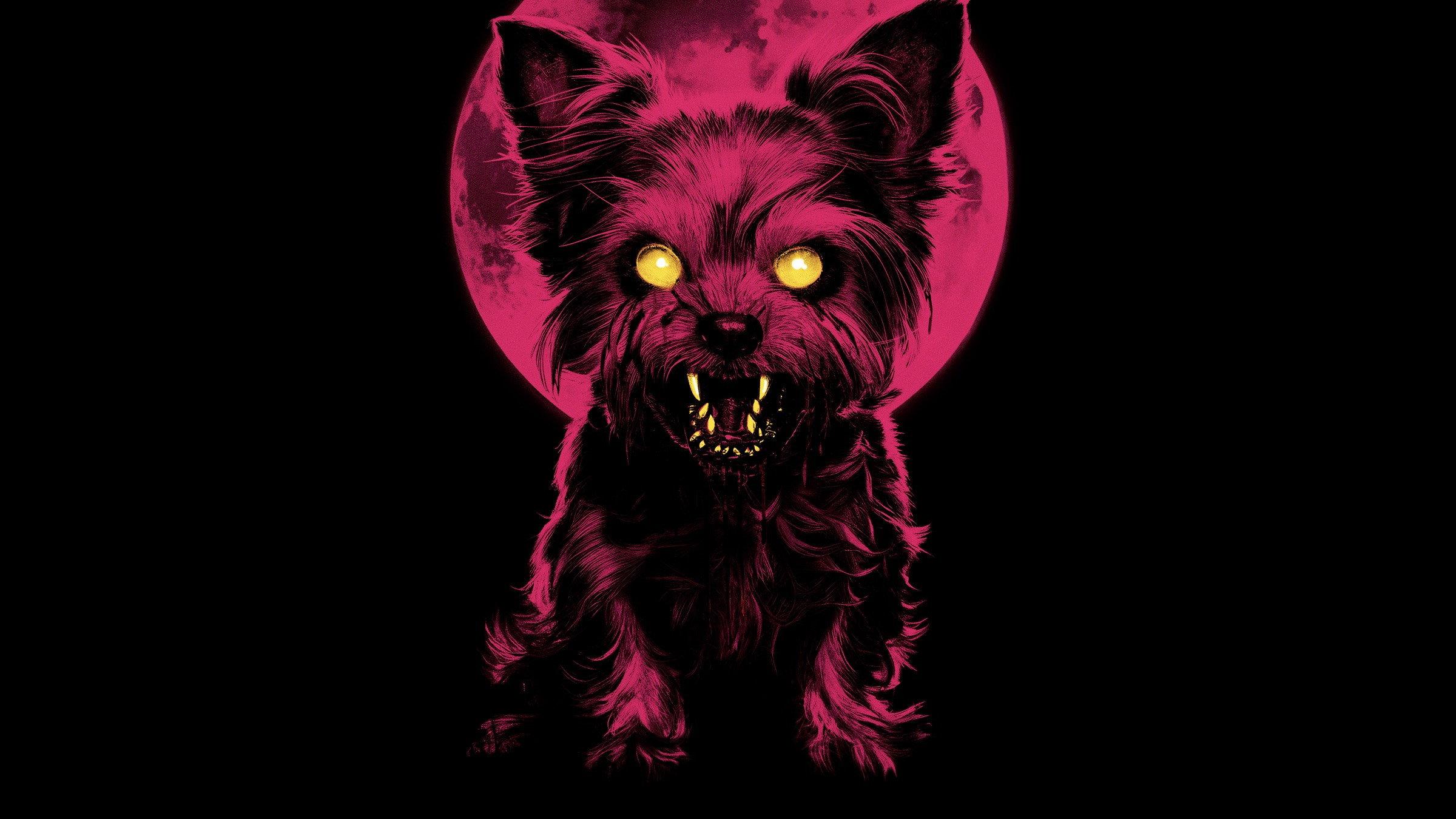 The Yorkie Werewolf 2024 movie scene