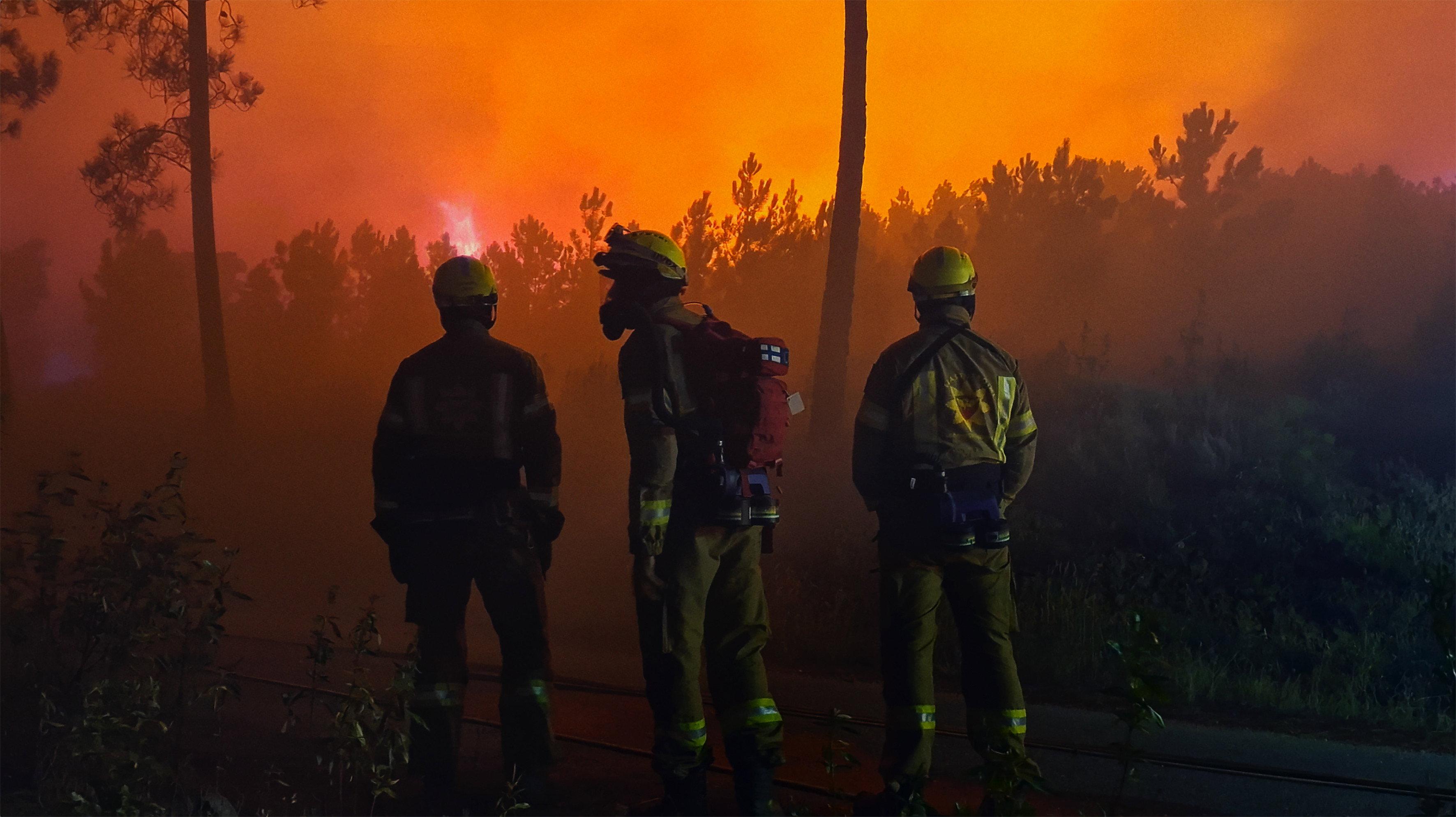 Lessons in Fire 2025 movie scene