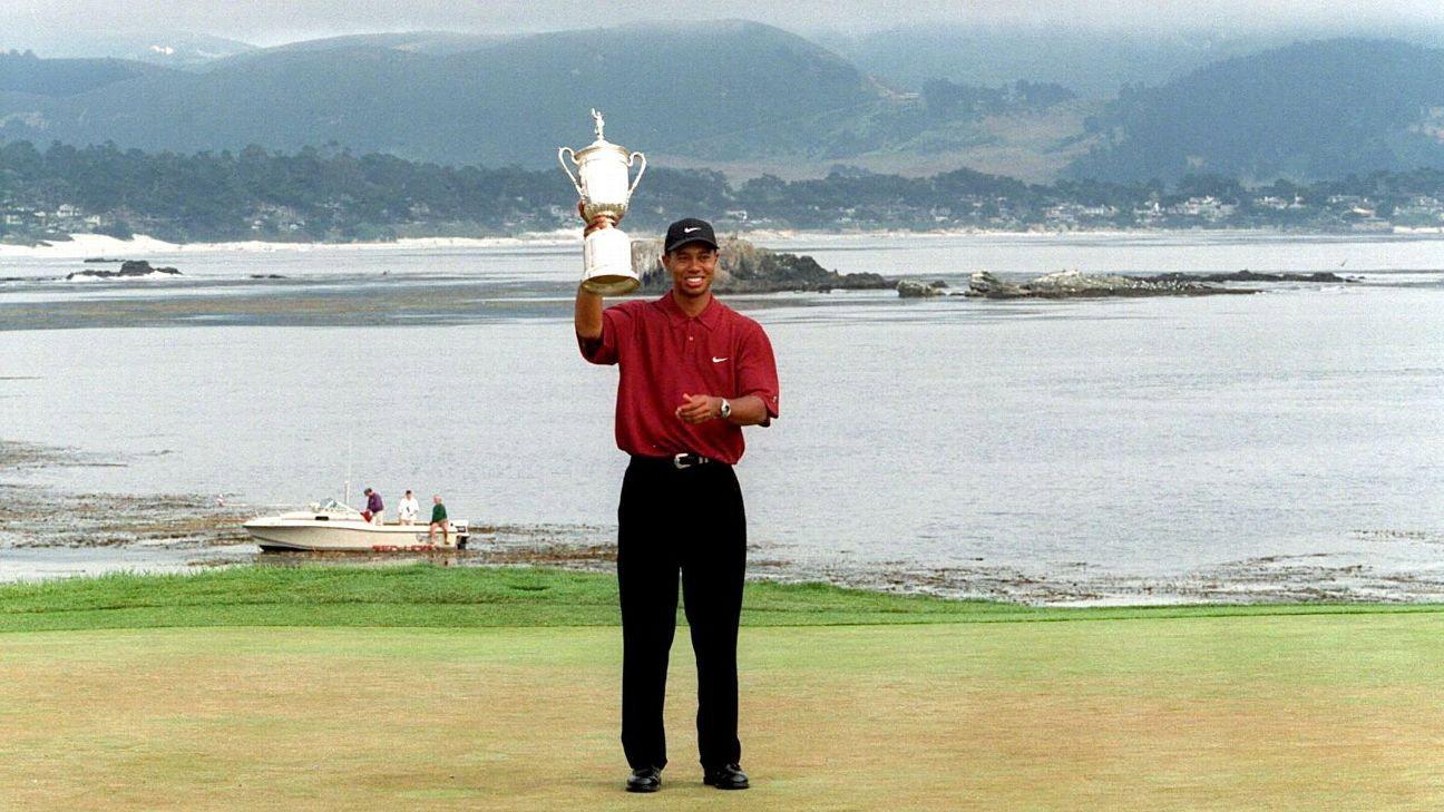 Perfection at Pebble 2019 movie scene