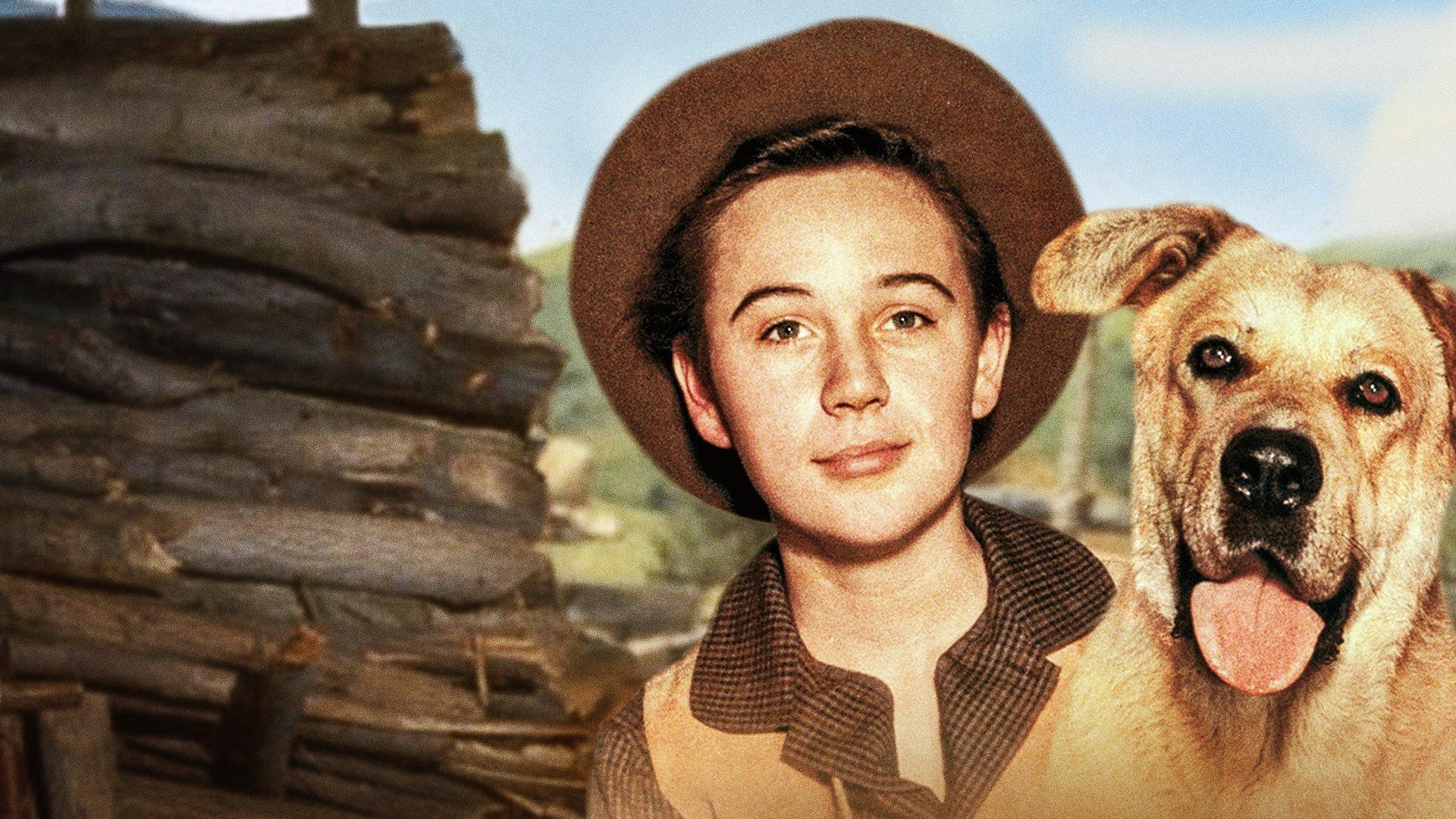 Old Yeller 1957 movie scene