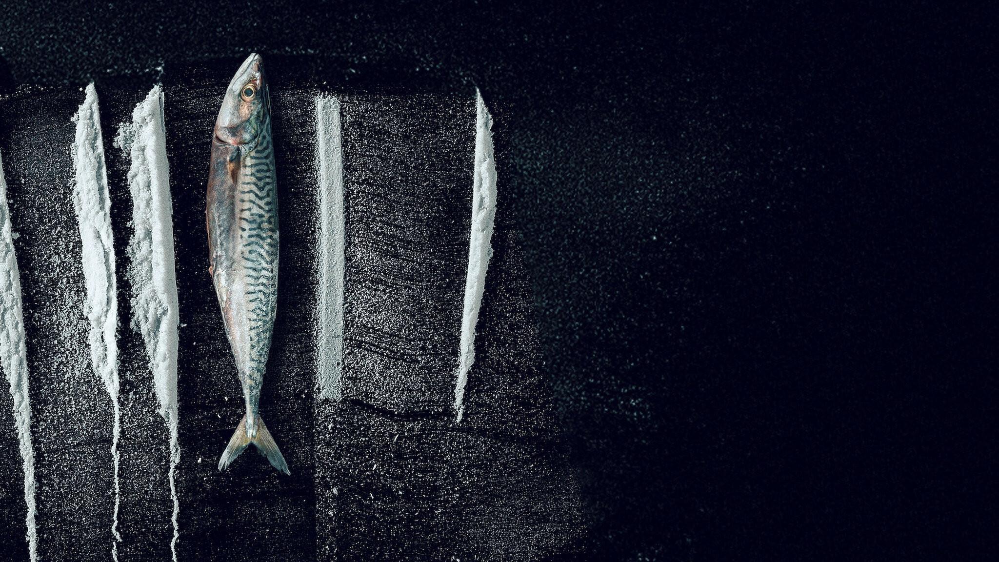 Turn of the Tide: The Surreal Story of Rabo de Peixe 2025 movie scene