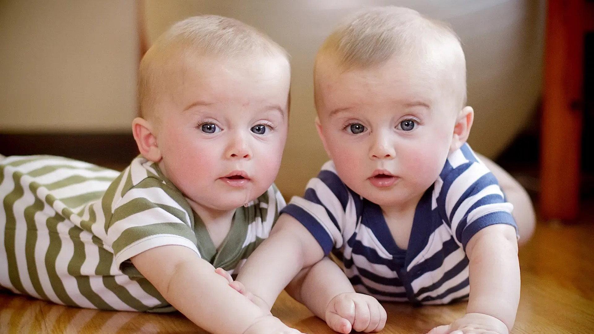 Secret Life of Twins 2015 movie scene