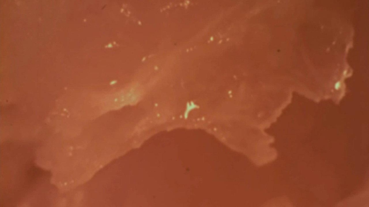 Orange 1970 movie scene