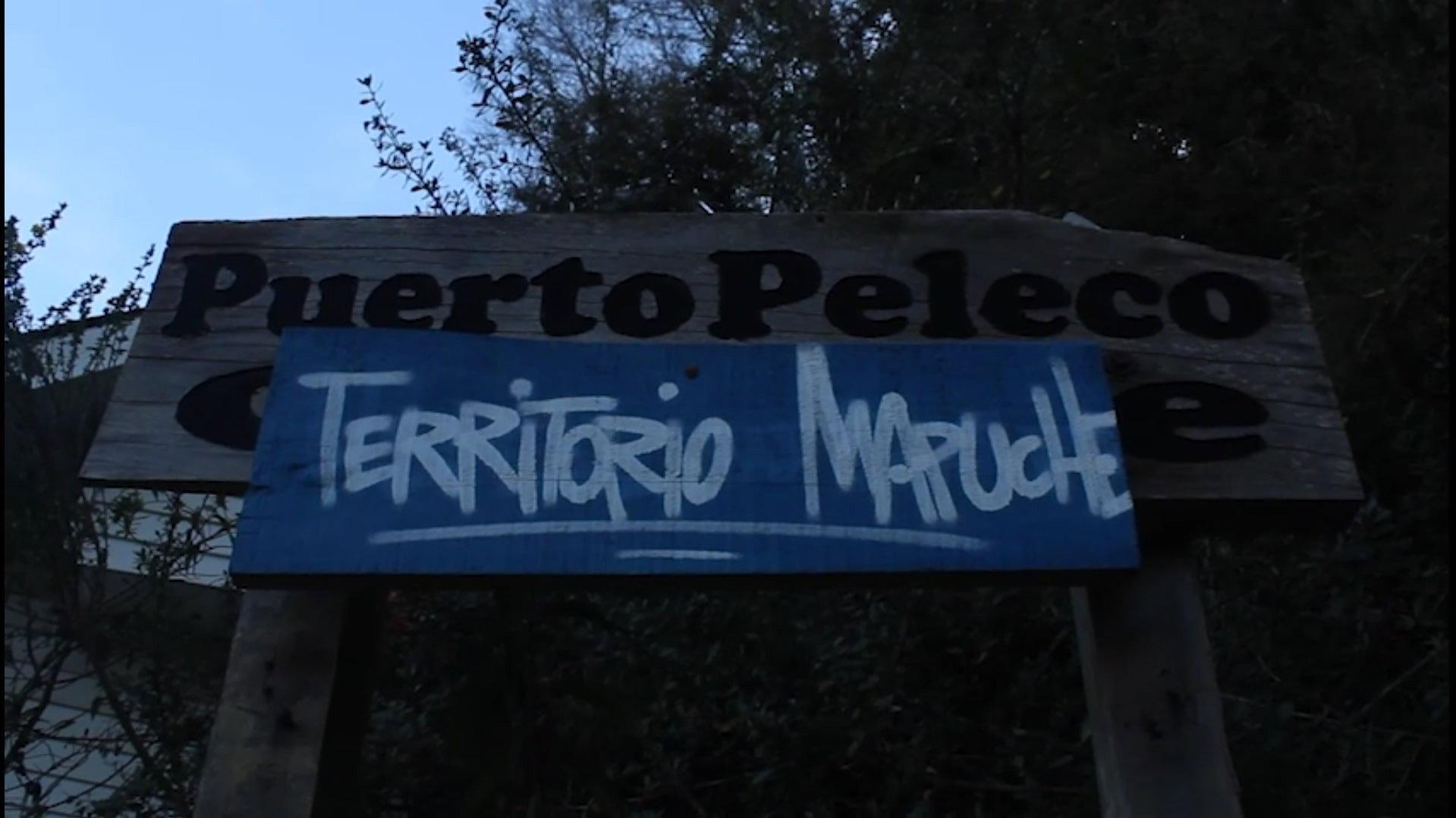 Peleco Port 2023 movie scene