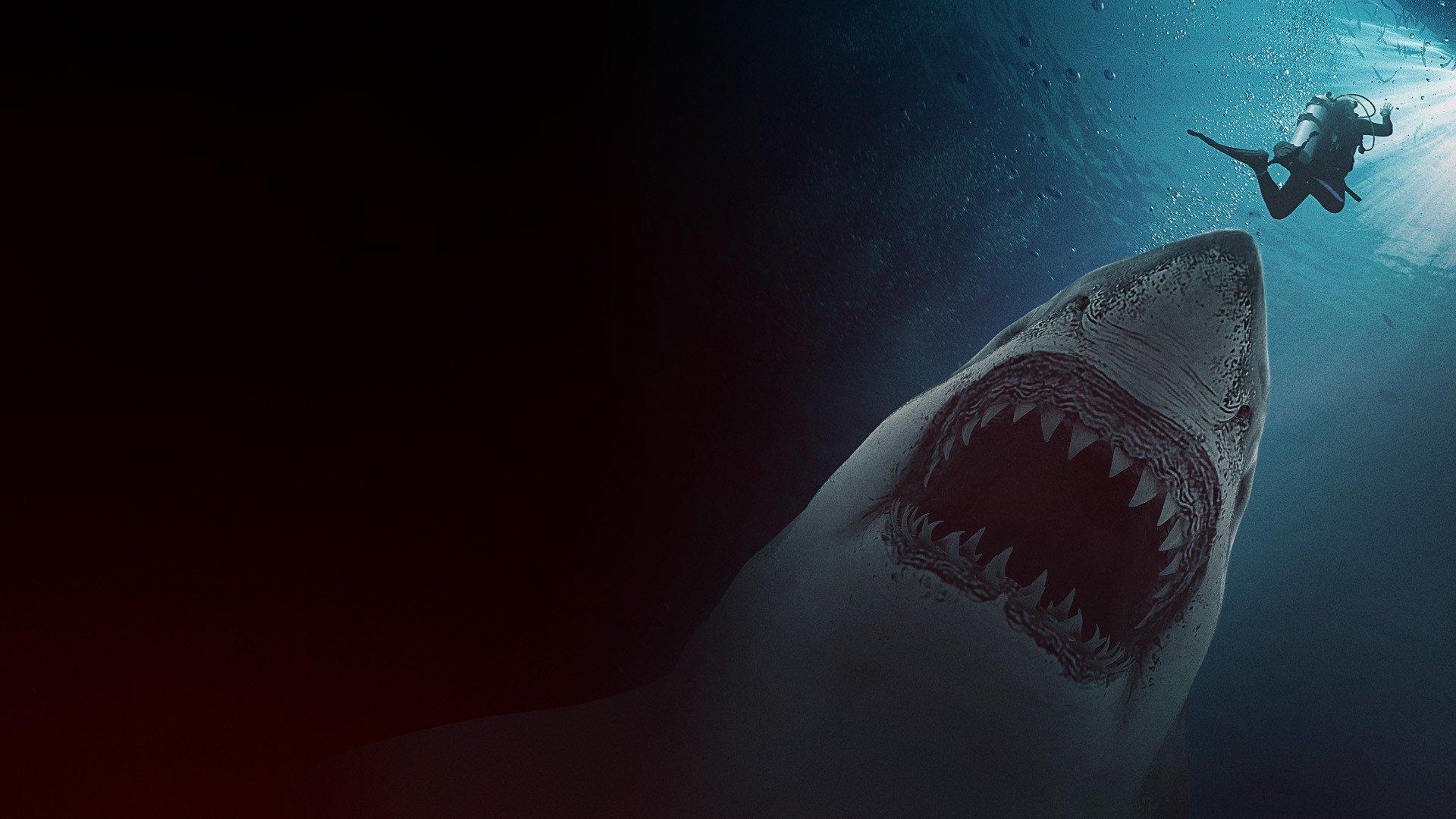 Great White Waters 2025 movie scene
