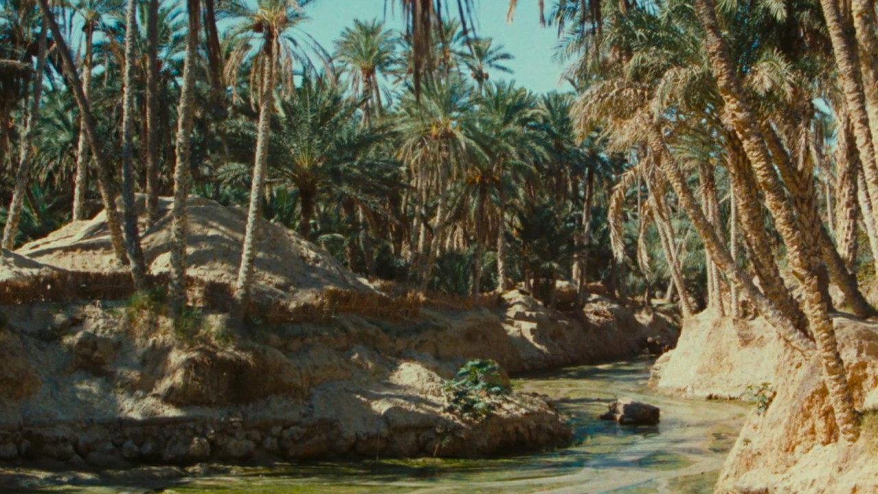 Zaa, the Little White Camel 1960 movie scene