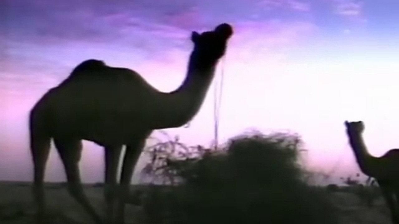 L'ozone n'a qu'une bosse 1991 movie scene