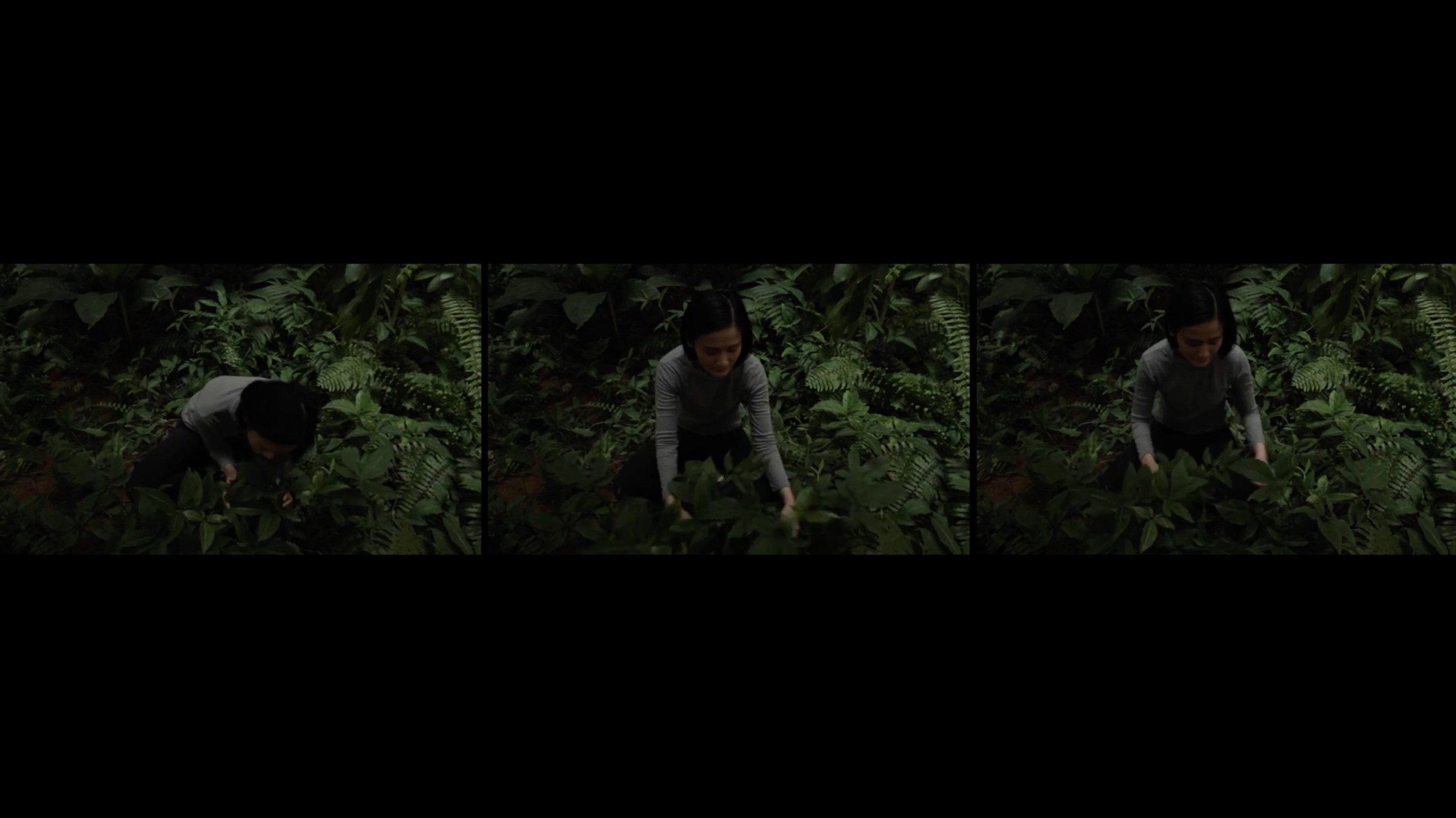 Anitya (Impermanence) 2016 movie scene