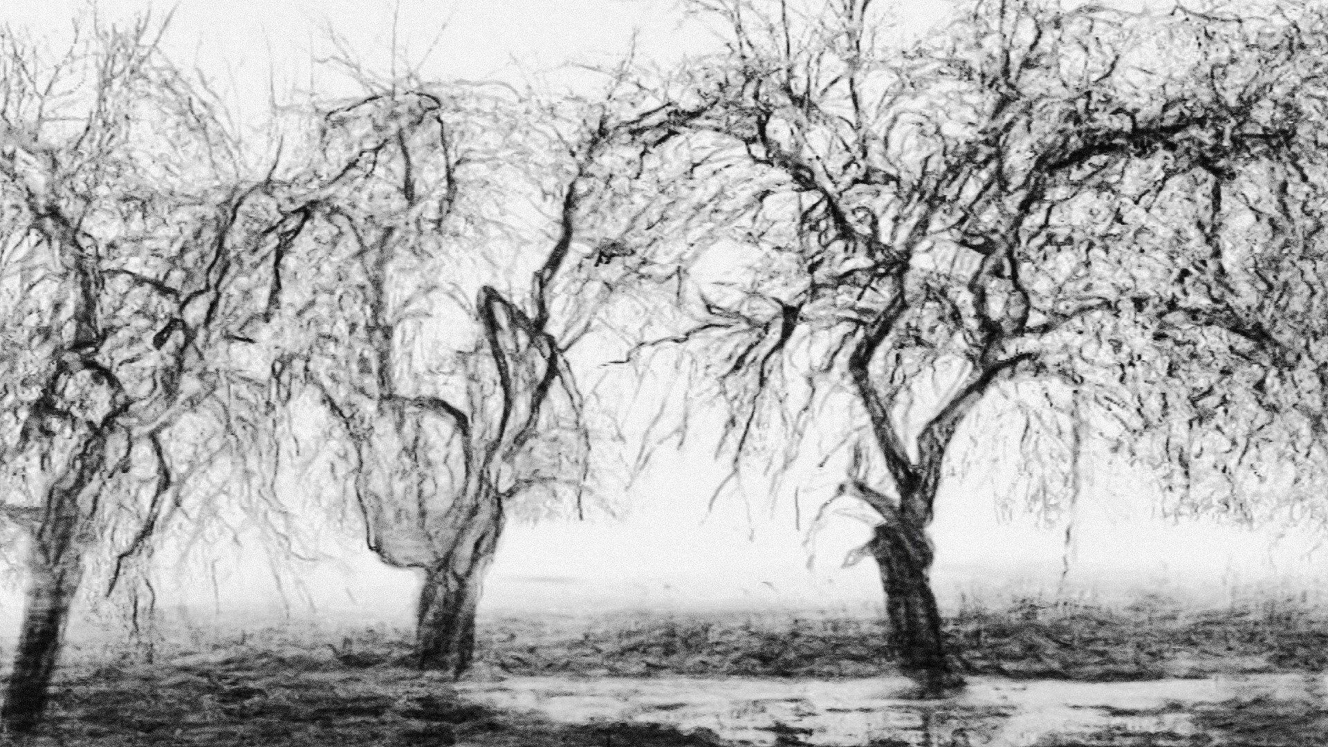 Fugue for Cello, Trumpet and Landscape 2014 movie scene