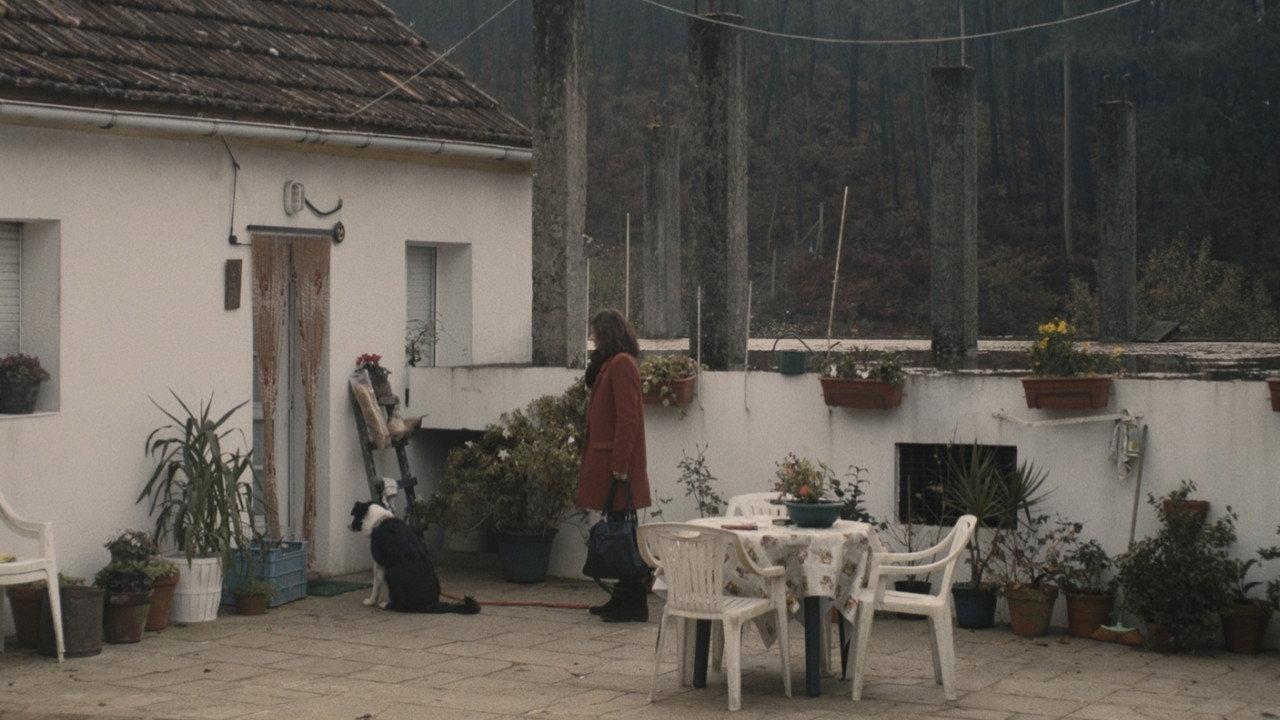 Fog 2017 movie scene