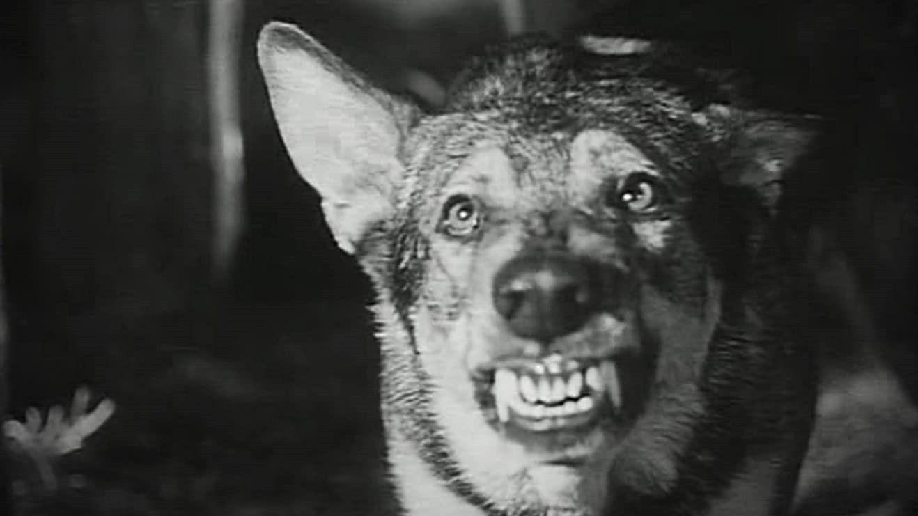 Daughter of Darkness 1948 movie scene