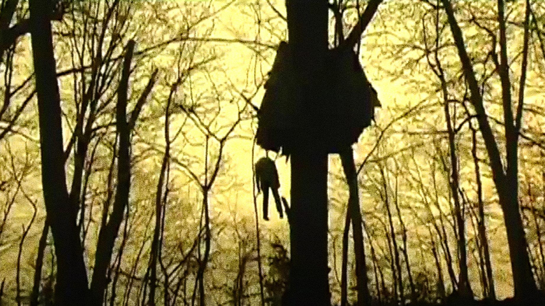 Head Trauma 2006 movie scene