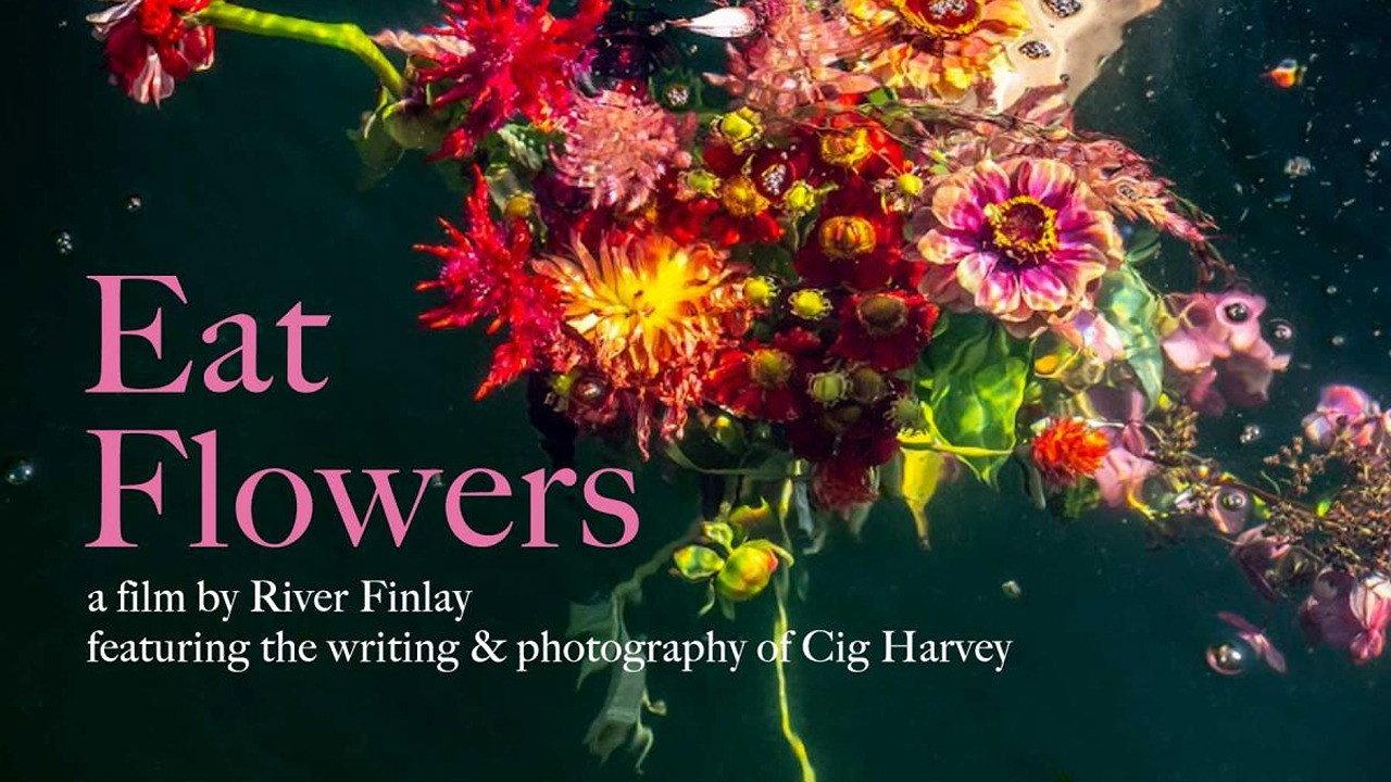 Eat Flowers 2023 movie scene