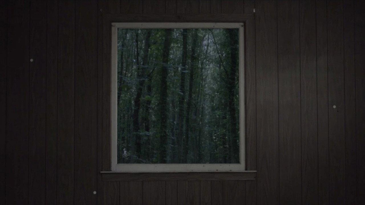 Delphi Falls 2017 movie scene
