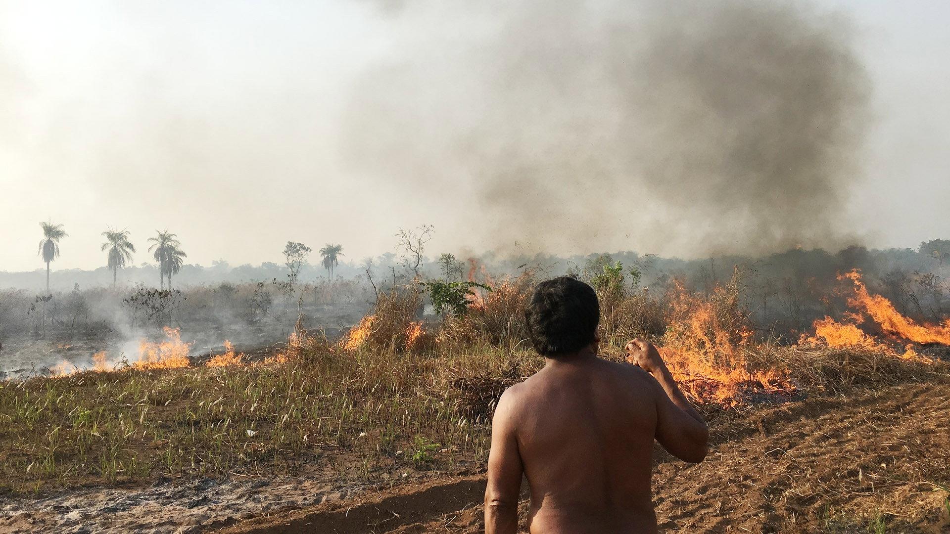 Fire in the Forest 2019 movie scene
