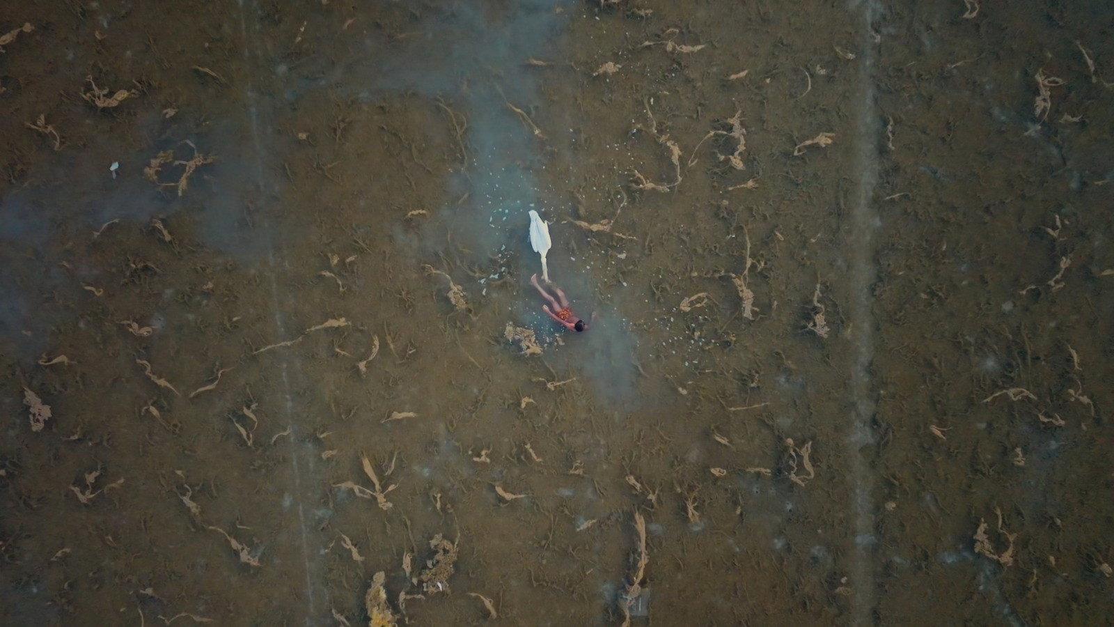 Moklani: The Last Mohanas  movie scene