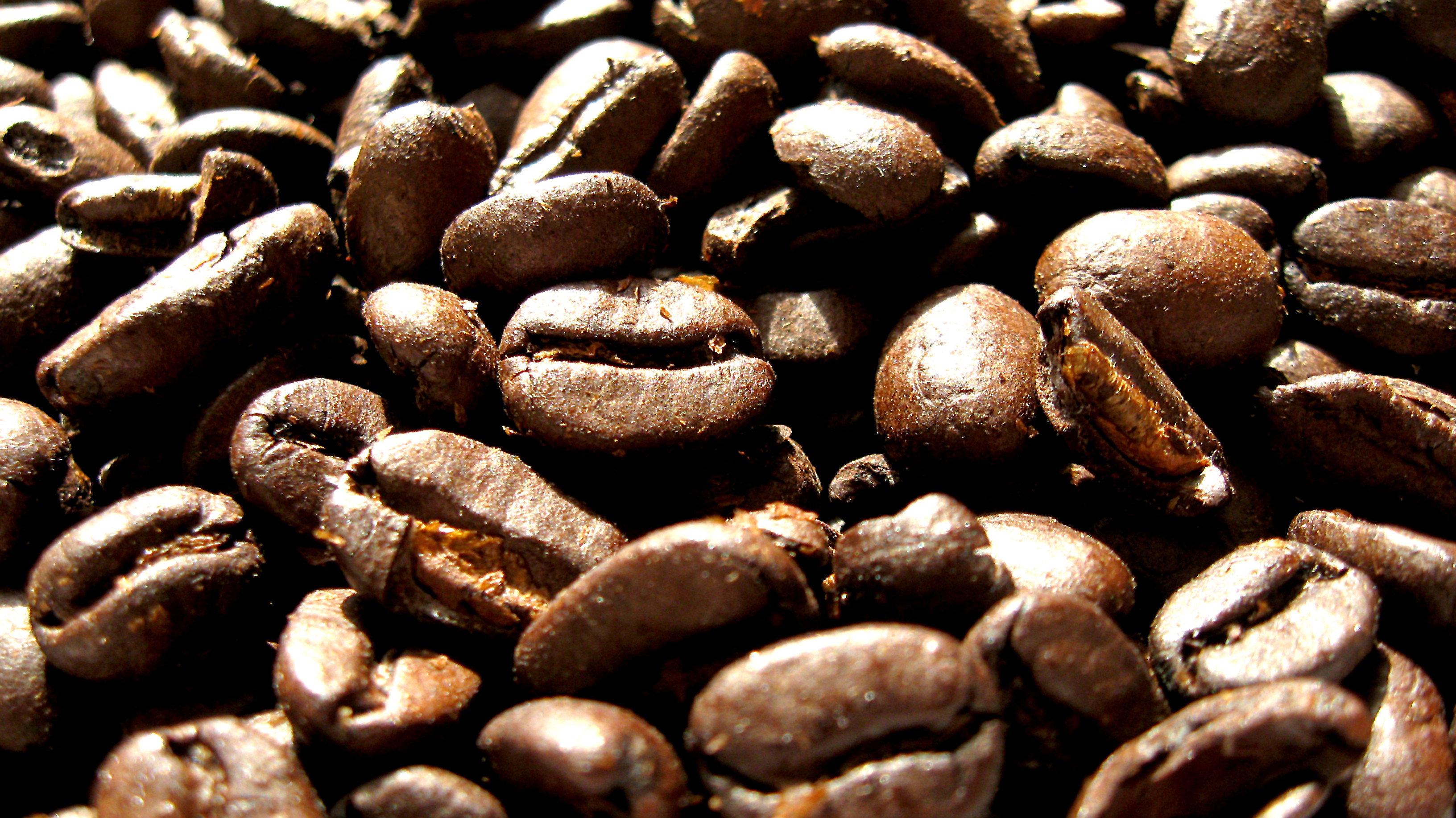 Black Coffee 2007 movie scene