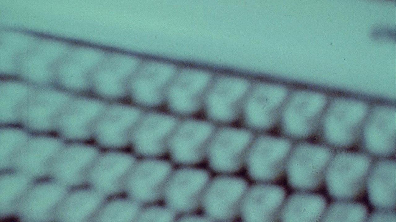 Condition of Illusion 1975 movie scene