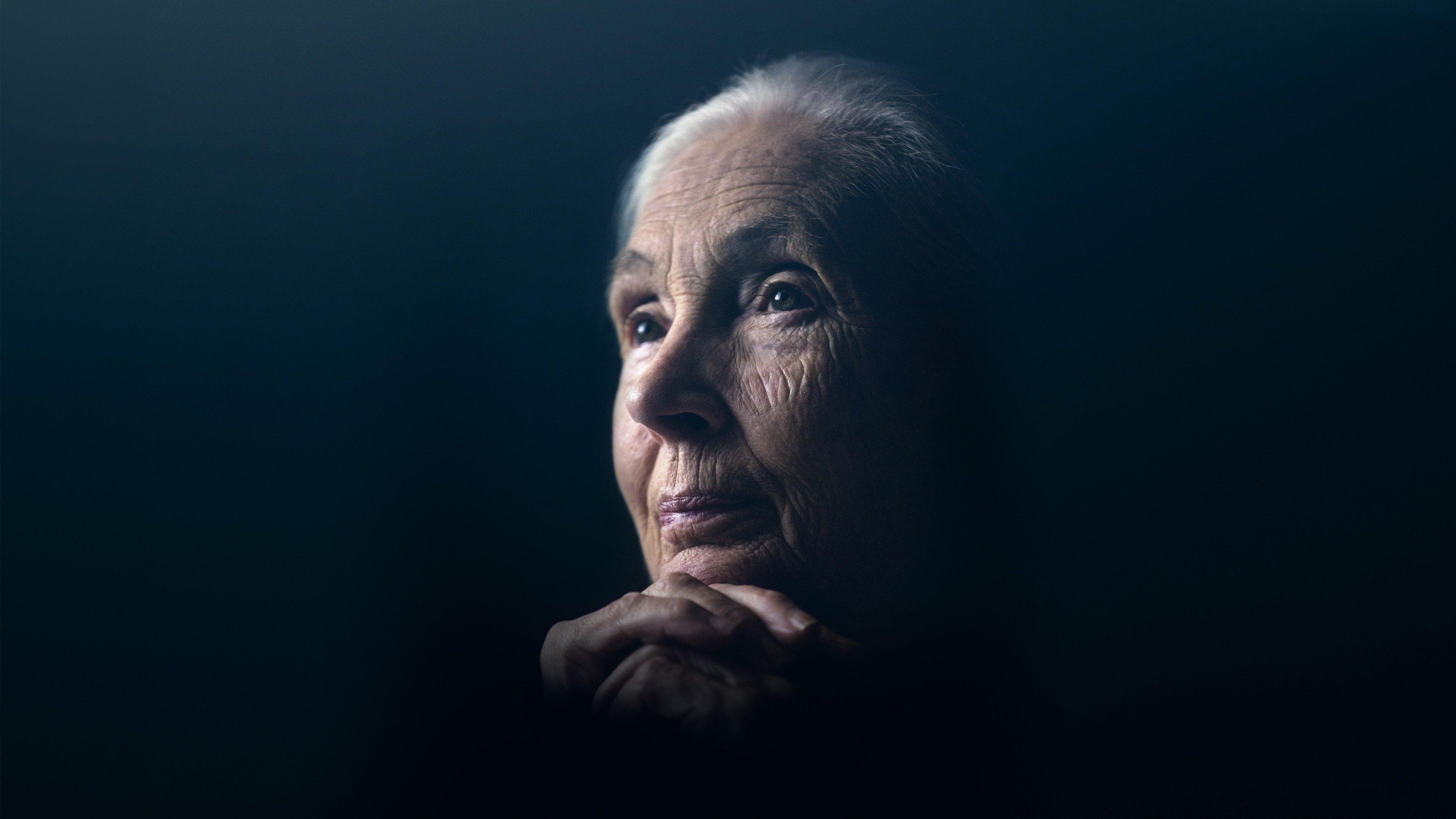 Jane Goodall: The Hope 2020 movie scene