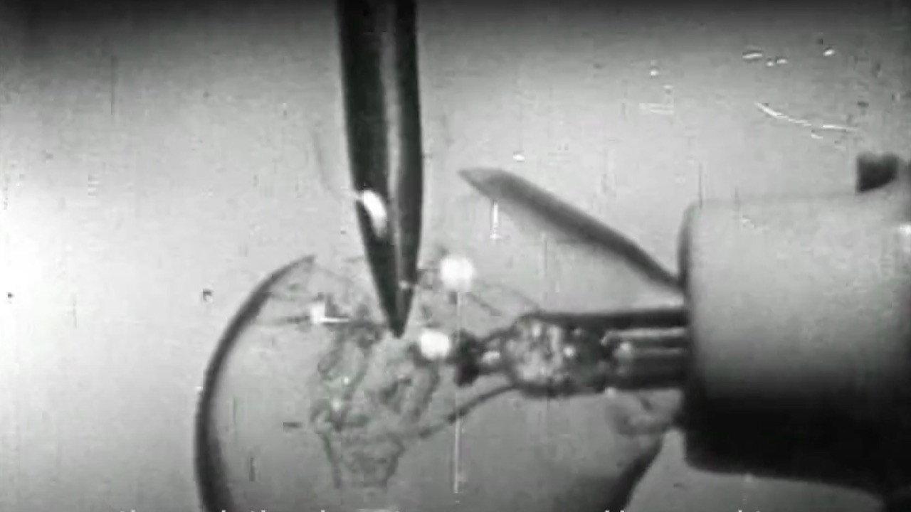 Report 1967 movie scene