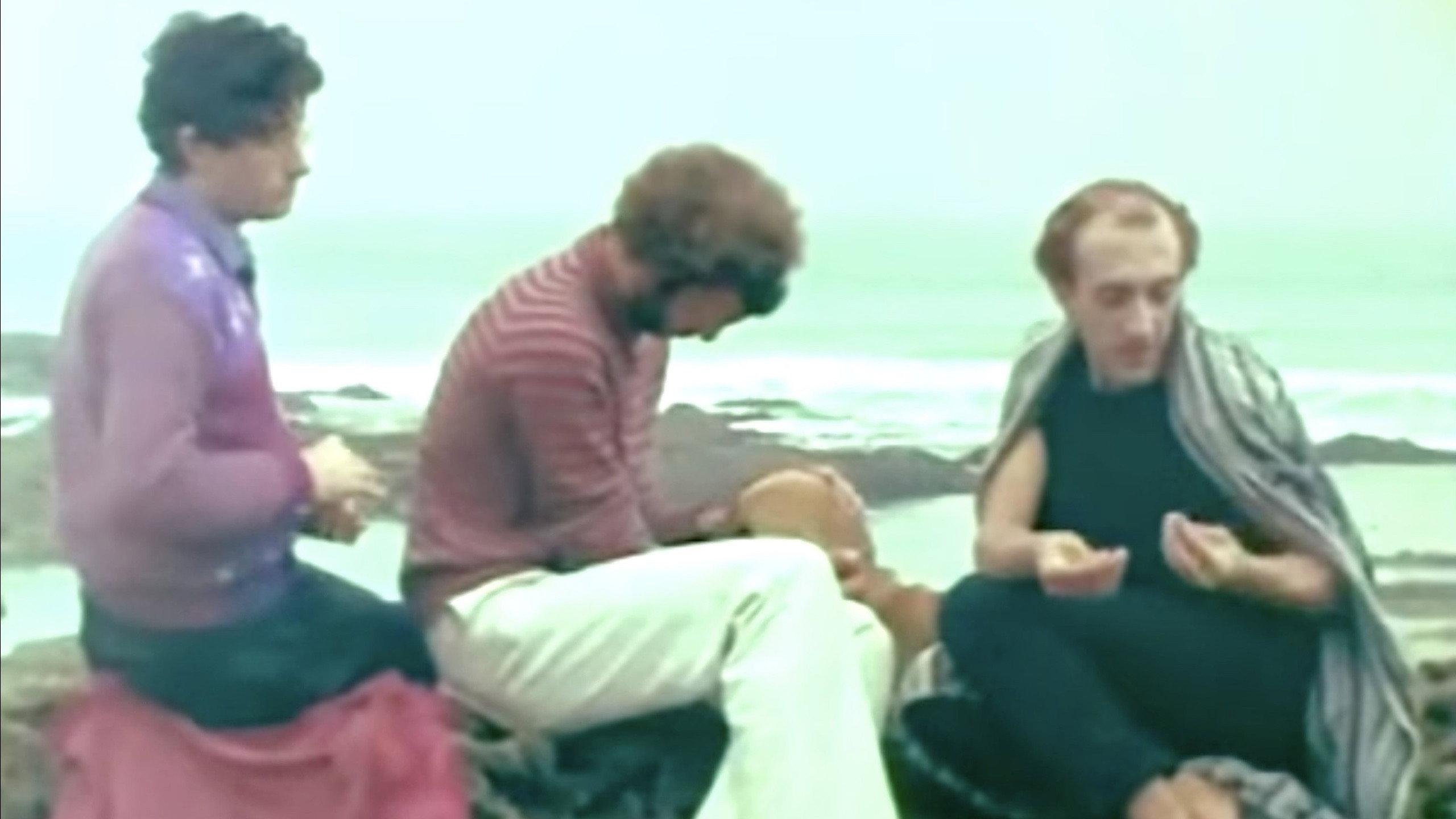 Manderley 1981 movie scene