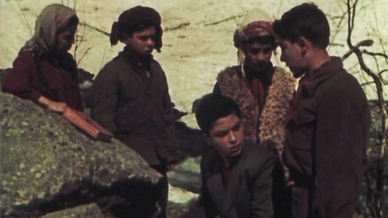 Prisoners of the Bobcat Ravine 1956 movie scene