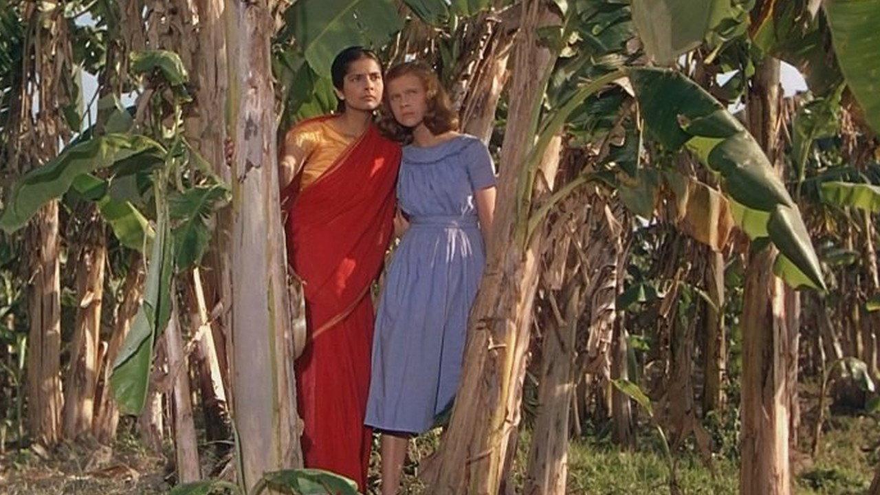 The River 1951 movie scene