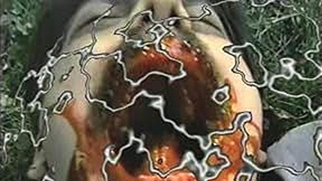 Dweller 2001 movie scene