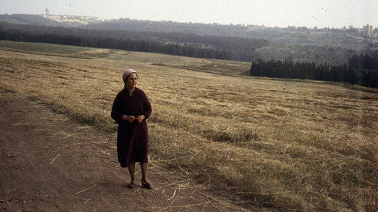 Fertile Memory 1981 movie scene