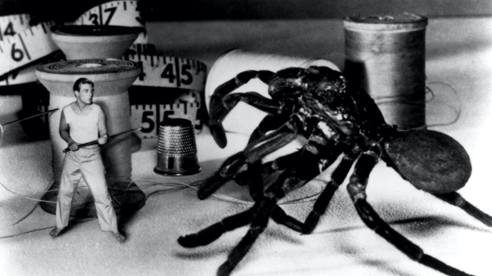 The Incredible Shrinking Man 1957 movie scene