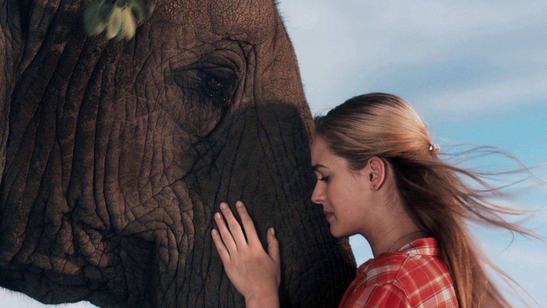 Sophie & Sheba 2010 movie scene