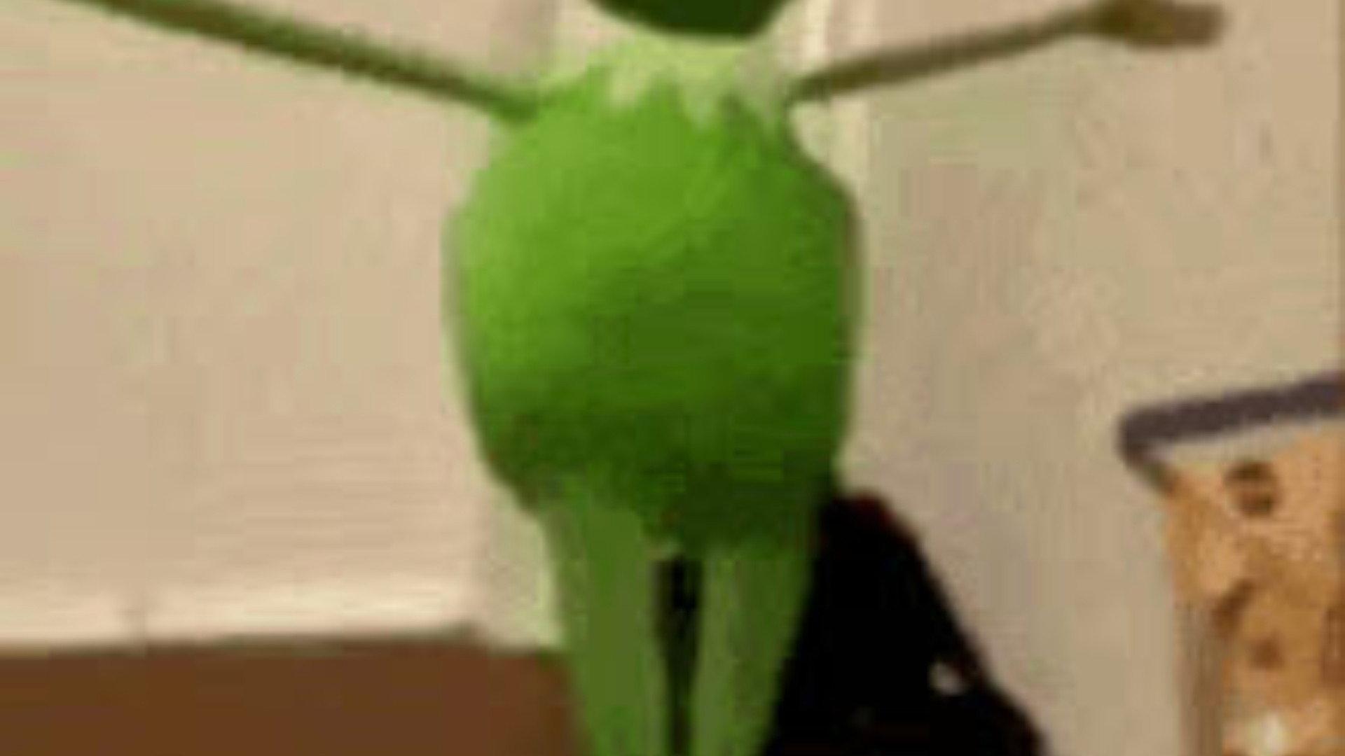 A delicate dance with god ~ {Kermit 2024 movie scene