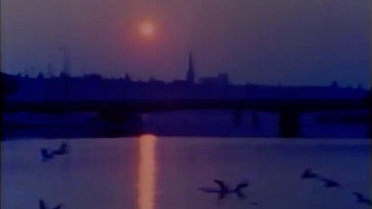 Portrait: A Film of Stockholm 1981 movie scene
